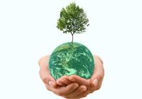eco