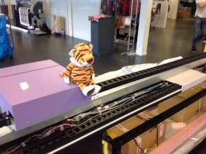 Mimaki pertama