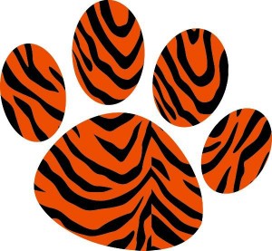 Mimaki tiger blogs