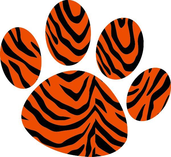 Mimaki tiger blogs