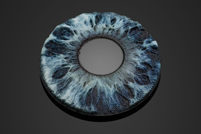 iris