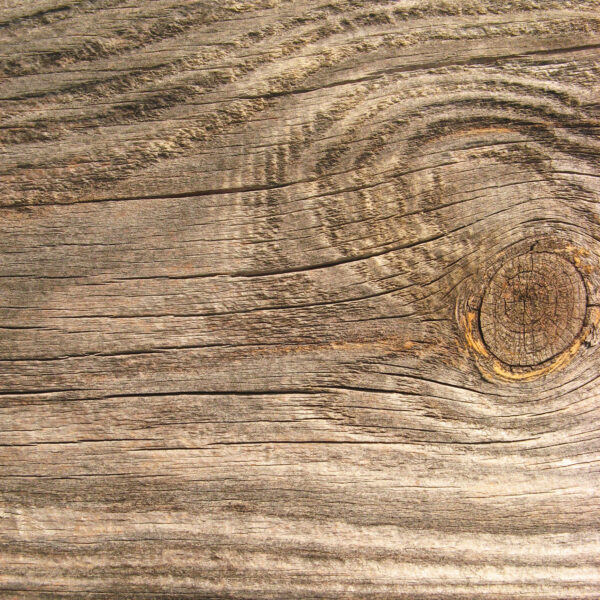 Texture Wood (ZIP file)